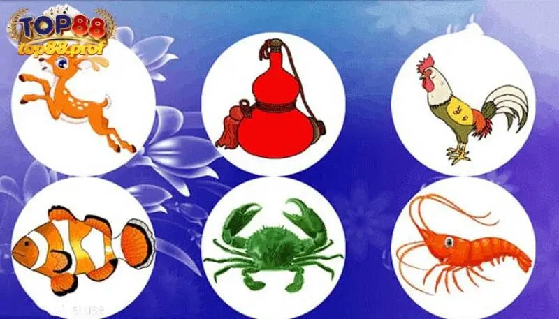 Tính toán xác suất để đưa ra lựa chọn bầu cua chính xác